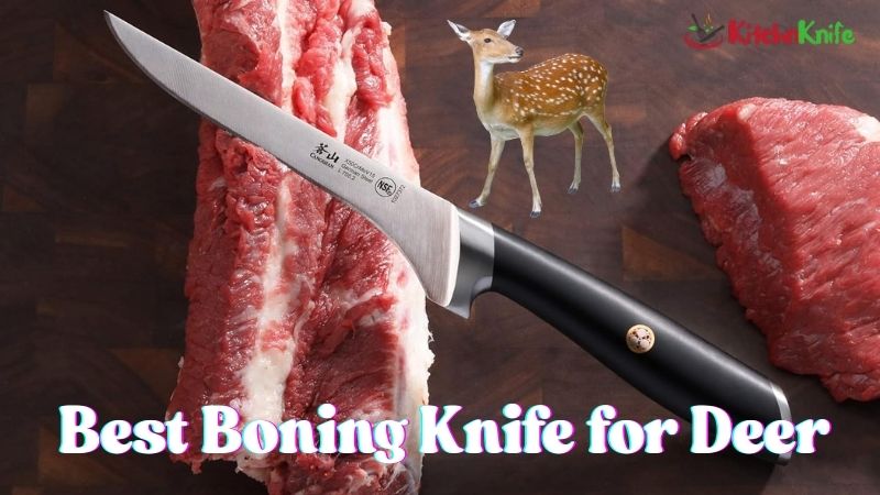 Best Boning Knife for Deer