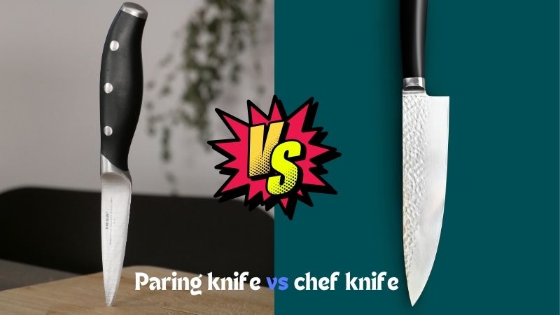 Paring Knife vs Chef Knife: Key Differences