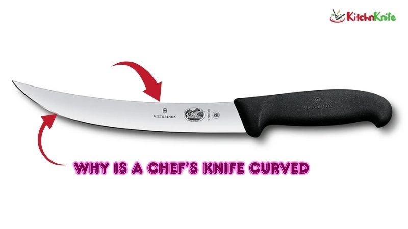 Why Is a Chef’s Knife Curved?