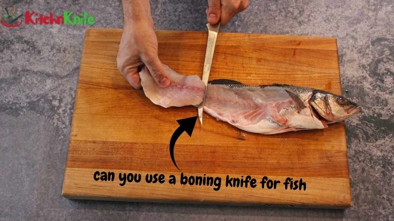 Can You Use a Boning Knife for Fish