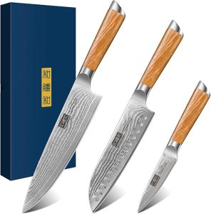 HOSHANHO Damascus Kitchen Knife Set