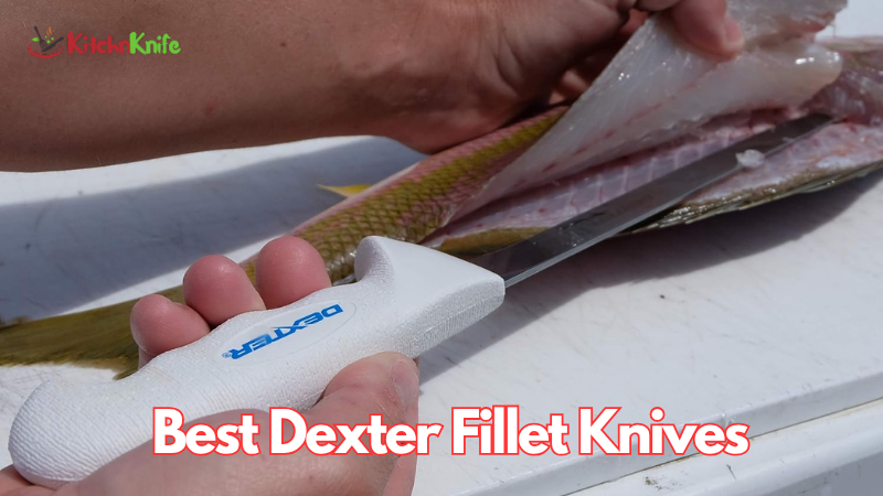 Best Dexter Fillet Knives