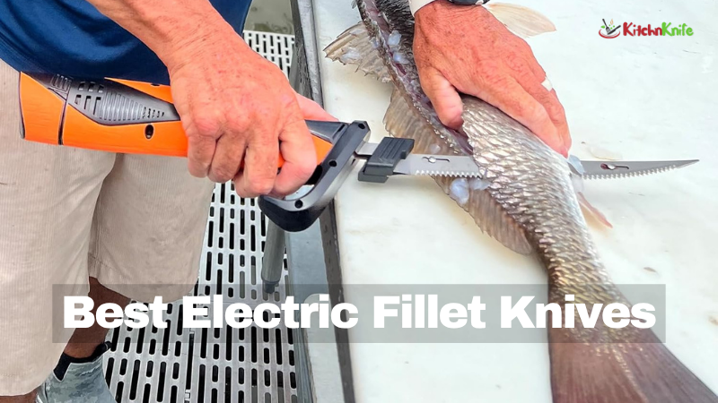 Best Electric Fillet Knives