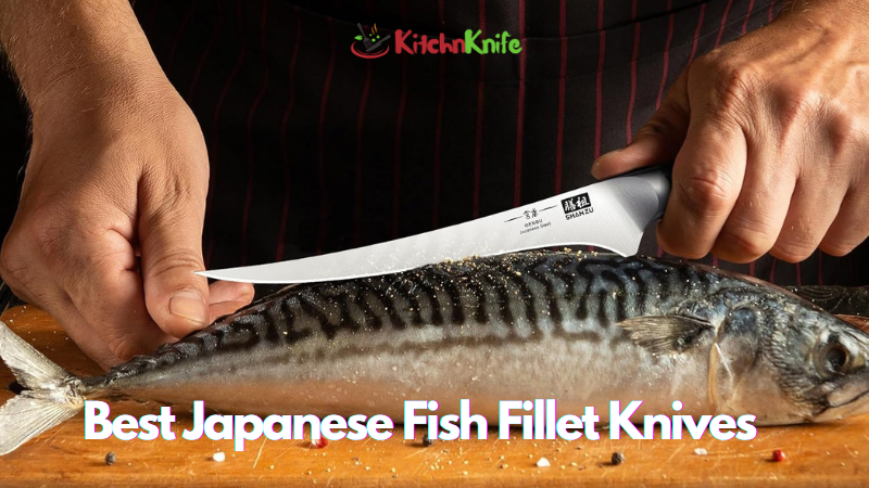 Best Japanese Fish Fillet Knives
