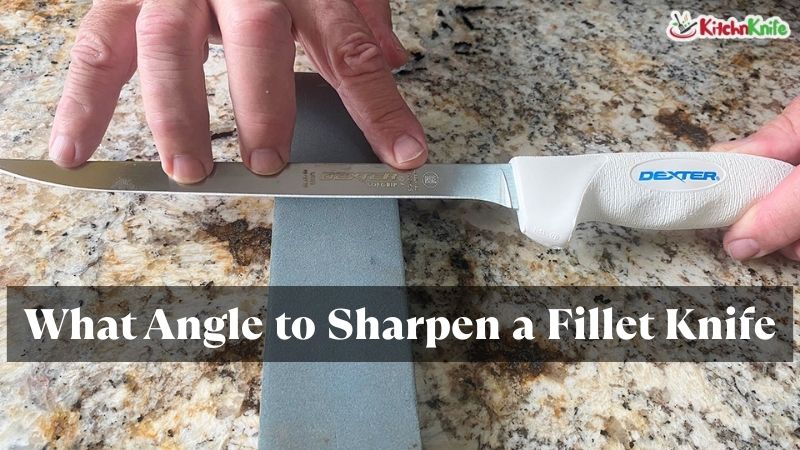 What Angle to Sharpen a Fillet Knife