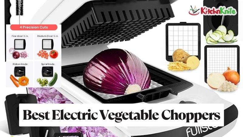 Best Electric Vegetable Choppers 2025