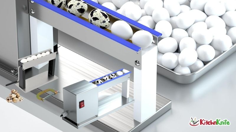 Best Egg Peeler Machine