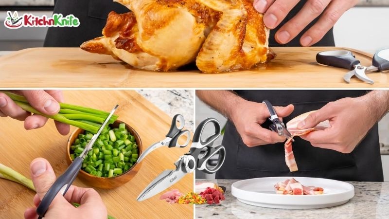 best kitchen shears for food