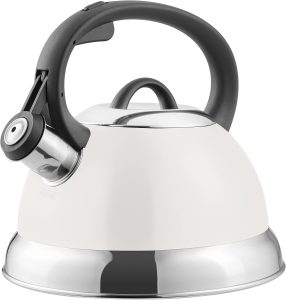 Mr. Coffee Flintshire 1.75-Quart Stainless Steel Whistling Tea Kettle