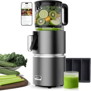 Anybear Cold Press Juicer with 4.9" Feed Chute