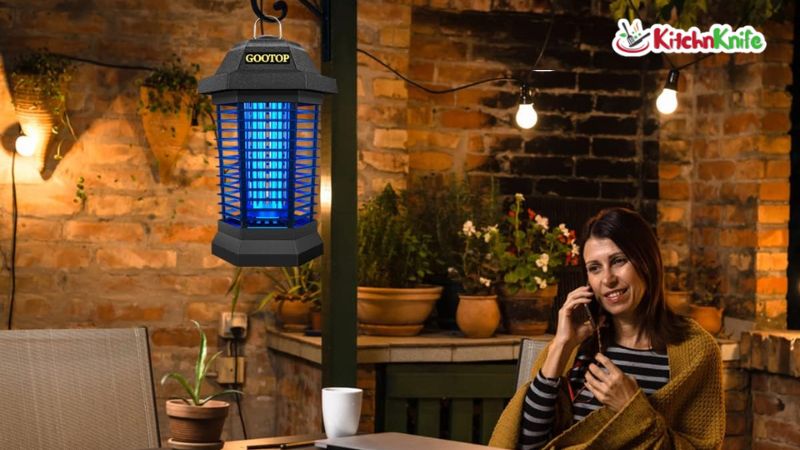 Best Indoor Bug Zappers for Kitchen