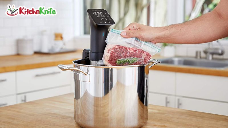 Best Sous Vide Machines for Accuracy