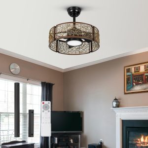 TALOYA 20 Inch Caged Ceiling Fan with Lights