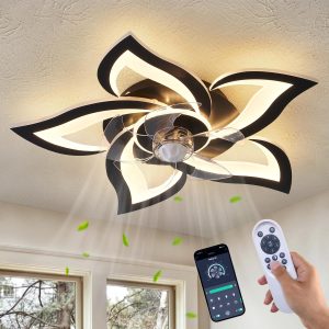 Dalouguan 24" Ceiling Fan with Lights and Remote