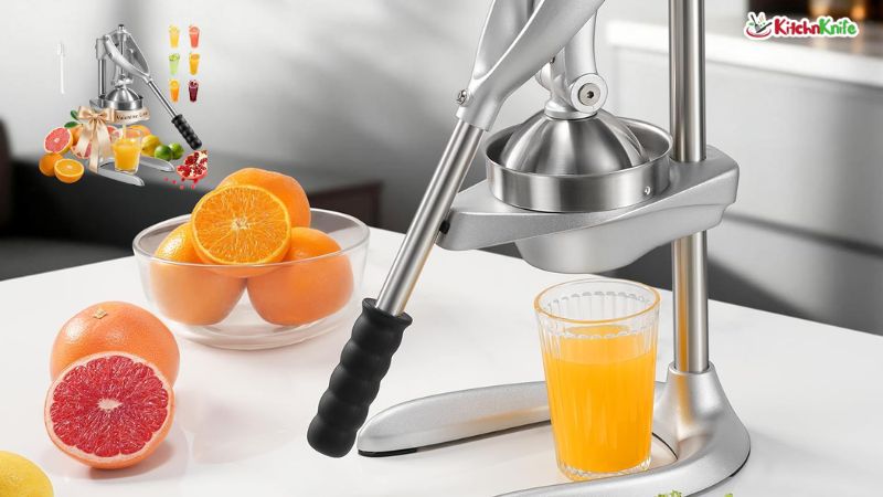 Best Manual Juicers