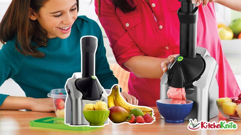 Best Frozen Fruit Ice Cream Makers