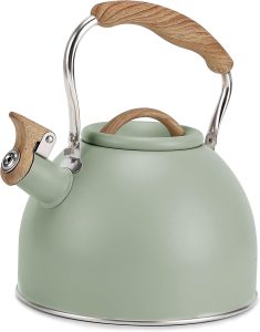 Vegoran 100 OZ Whistling Tea Kettle in Green