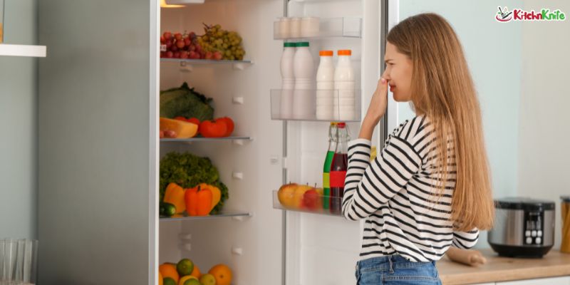 How to Remove Food Smells From a Refrigerator