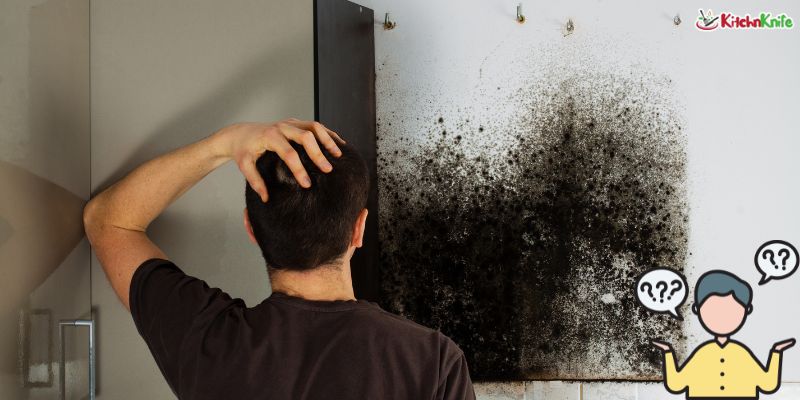How to Remove Mold From Kitchen Cabinets