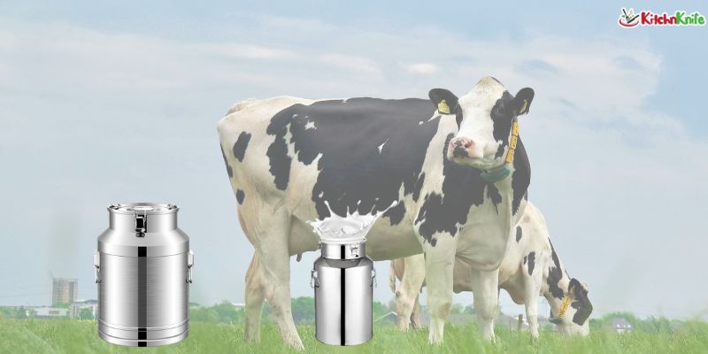 Best Stainless Steel Milk Pails