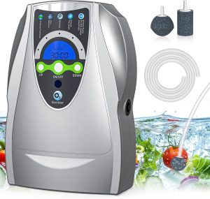 VTAR Ozone Machine (500 mghour)